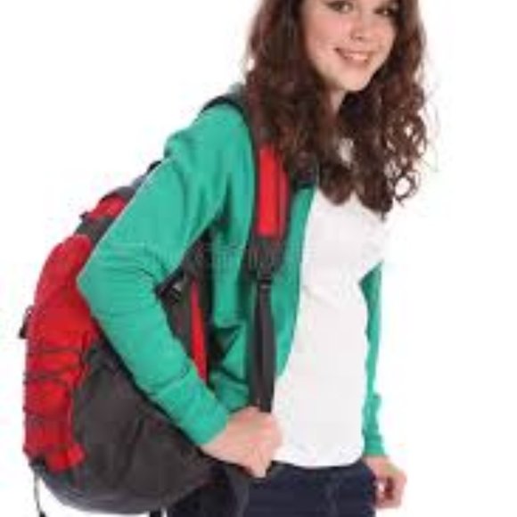 NWT High Sierra Backpack Waterproof Commute Hike Business Travel Laptop Red Gray main image 5